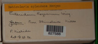 Image Associated With the Occurence